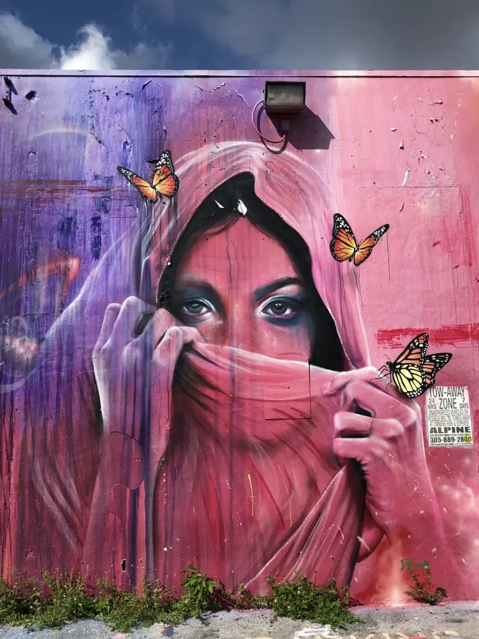 Mural of a woman in a pink veil with butterflies