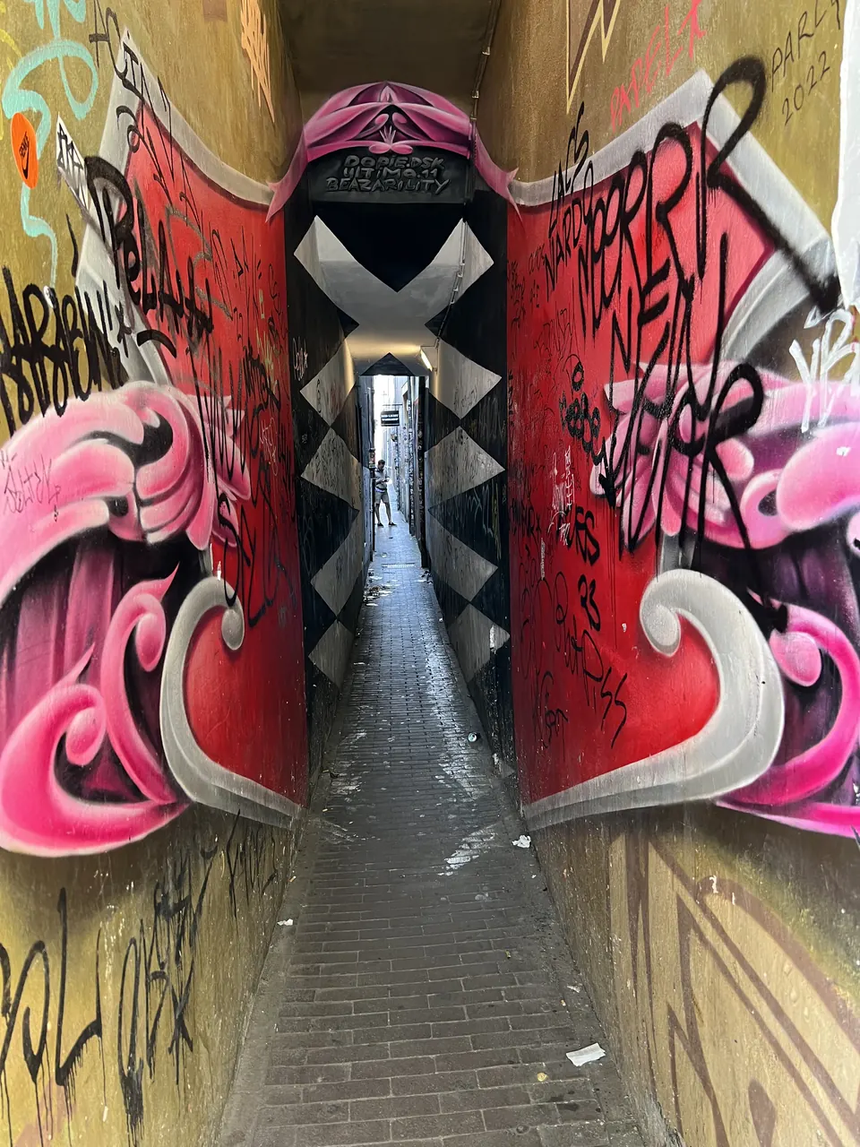A graffiti alley in red, pink and black